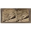 Image 1 : Colorado Stereo view misidentified as Nevada
