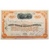 Image 1 : Iron Silver Mining Company Stock Certificate