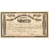Image 1 : New York and Montana Mining and Milling Company Stock Certificate *Territorial*