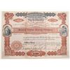 Image 1 : Nevada Alpine Mining Co. Stock