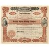 Image 1 : Nevada Alpine Mining Co. Stock Certificate