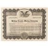 Image 1 : Hilltop-Nevada Mining Co. Stock Certificate