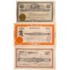 Image 1 : Incorporated under the laws of the Territory of Arizona. No. 248 issued to Warner Miller for 5,000 s