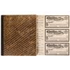 Image 1 : Gold Reef Consolidated Gold and Silver Mining Company Stock Certificate Books  (2)
