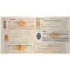 Image 1 : Variety of Virginia City Checks w/ revenues