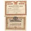 Image 1 : Gold Hill Stock Certificate Pair