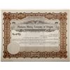 Image 1 : Platinum Mining Co. of Oregon Stock Certificate