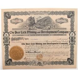 Deer Lick Mining and Development Company Stock Certificate