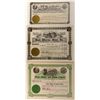 Image 1 : Nevada, Idaho & Arizona Stock Certificates Trio