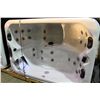 Image 1 : CAL SPAS PATIO SERIES HOT TUB, 54X78X32 PREFERRED SMOKE CABINET WITH STERLING SILVER INTERIOR C/W