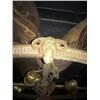 Image 2 : Rams Heads Hanging Lamp