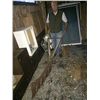 Image 2 : Vintage Farm Plow and Hay Rake