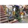 Image 3 : VARIOUS PLANTS, STANDS & CANDLE STICK HOLDERS