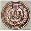 Image 2 : 1905 1 Cent "Indian Head Cent"