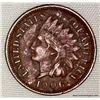 Image 1 : 1906 1 Cent "Indian Head Cent"