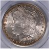 Image 2 : 1881-S MORGAN DOLLAR PCGS MS-62