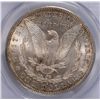 Image 3 : 1881-S MORGAN DOLLAR PCGS MS-62