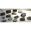 Image 3 : 14 Misc. Belt Buckles
