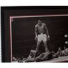 Image 3 : Very Nice Black Metal Frame Muhammad Ali Picture