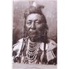 Image 2 : Native American Indian Antique Cabinet Cards The l
