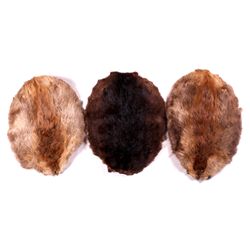 Beaver Pelt Collection This is a collection of thr