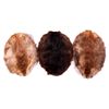 Image 1 : Beaver Pelt Collection This is a collection of thr