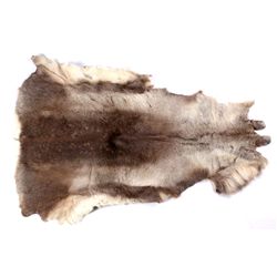 Montana Elk Fur Hide This is a Montana taken Elk h