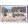 Image 11 : Yellowstone National Park Collection This is a col