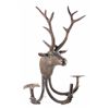 Image 1 : Bronze Elk Sculpture Wall Sconce The lot features