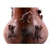 Image 8 : Native American Lizard Effigy Water Vessel This is