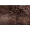 Image 11 : Kodiak Grizzly Bear Rug This is an Alaska taken Ko