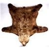 Image 16 : Kodiak Grizzly Bear Rug This is an Alaska taken Ko