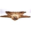 Image 1 : Kodiak Grizzly Bear Rug This is an Alaska taken Ko
