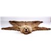 Image 2 : Kodiak Grizzly Bear Rug This is an Alaska taken Ko