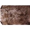 Image 4 : Kodiak Grizzly Bear Rug This is an Alaska taken Ko