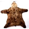 Image 5 : Kodiak Grizzly Bear Rug This is an Alaska taken Ko