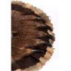 Image 8 : Kodiak Grizzly Bear Rug This is an Alaska taken Ko