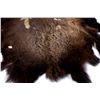 Image 13 : Montana Buffalo Hide