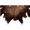 Image 2 : Montana Buffalo Hide