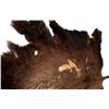 Image 4 : Montana Buffalo Hide