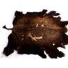 Image 6 : Montana Buffalo Hide