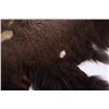Image 9 : Montana Buffalo Hide