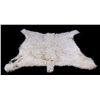 Image 1 : Northern Montana Mountain Goat Rug This is a Monta