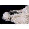 Image 6 : Northern Montana Mountain Goat Rug This is a Monta