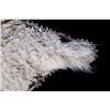 Image 7 : Northern Montana Mountain Goat Rug This is a Monta