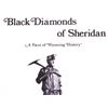 Image 2 : "Black Diamonds of Sheridan" Book This is a "Black