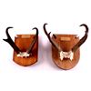 Image 1 : Montana Antelope Horn Mounts This is a pair of Mon