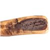 Image 4 : Native American Scraping Tool This lot features a