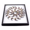 Image 2 : Collection of 32 Faux Bear Claws for Jewelry The l