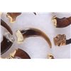 Image 5 : Collection of 32 Faux Bear Claws for Jewelry The l